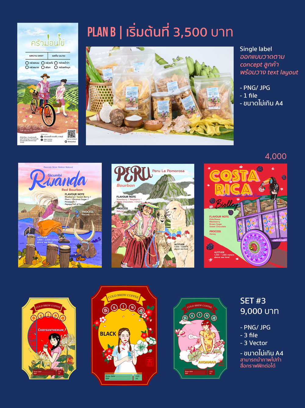 illustration-rate-plan-b-